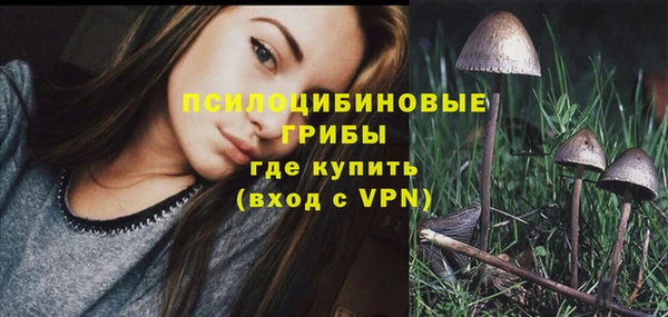 бошки Абдулино
