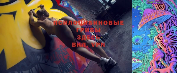 твердый Алексеевка
