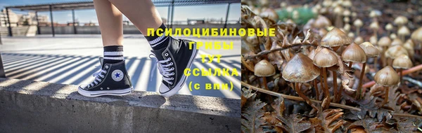 бошки Алзамай