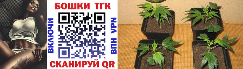купить наркотик Звенигово Каннабис OG Kush